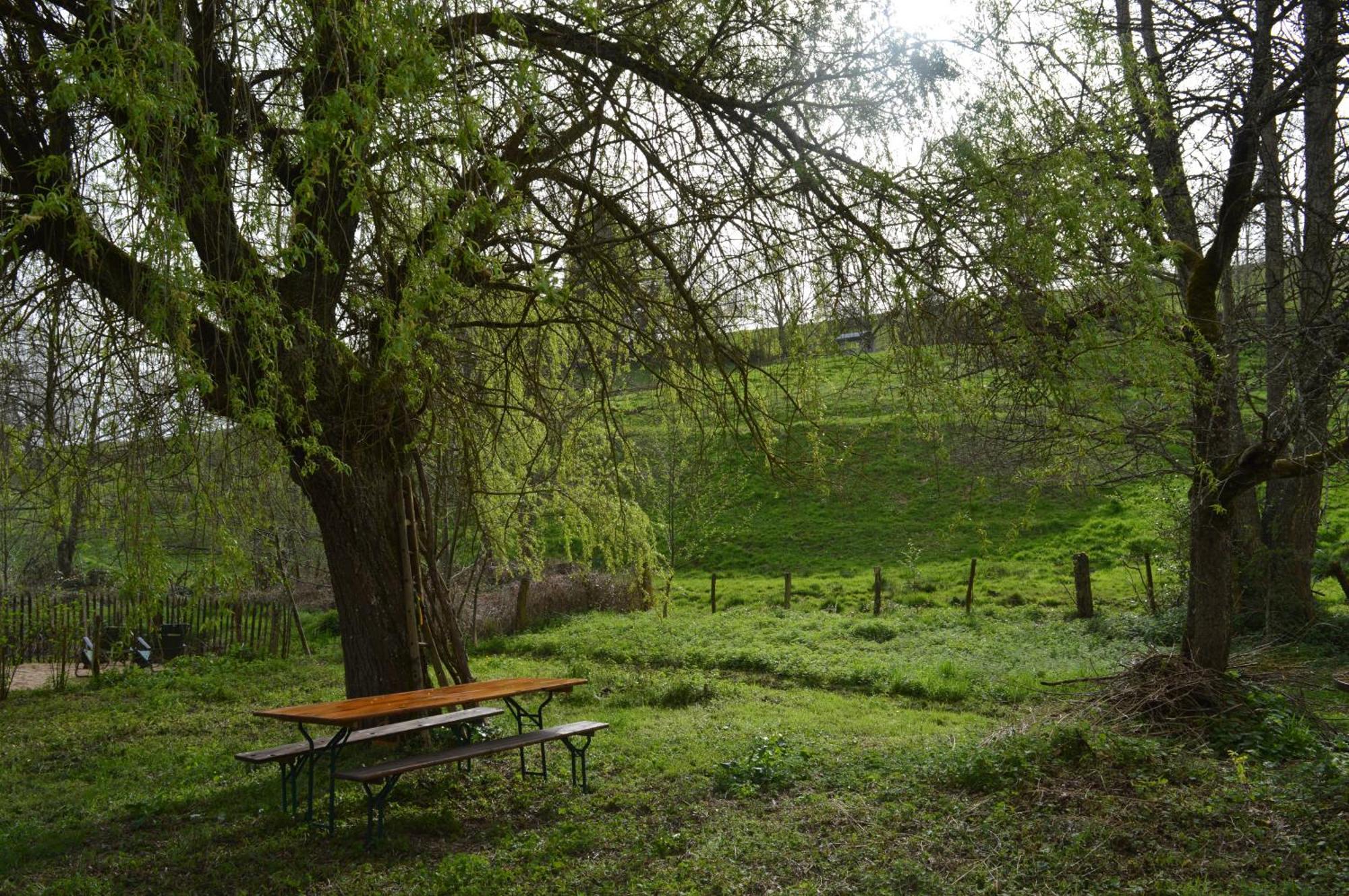 Villa La Fabrique Du Roncon Saint-Bonnet-le-Troncy Esterno foto